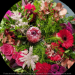 img/flowers-700/flower418-min-min.jpg